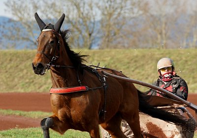 Av 8feb21DSC07815 Fiddle