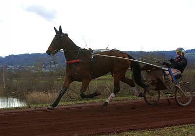 Av 8feb21DSC07849 Fiddle