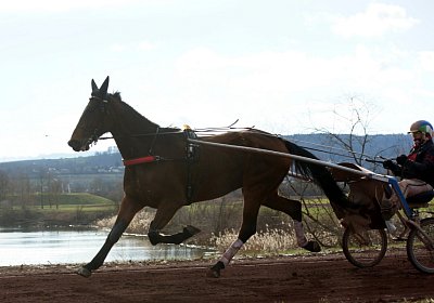 Av 8feb21DSC07866 Fiddle