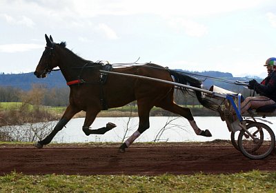 Av 8feb21DSC07868 Fiddle