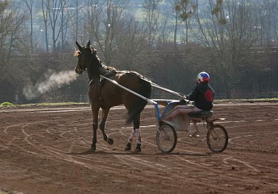 Av 8feb21DSC07891 Fiddle