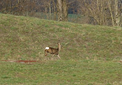 Av 8feb21Flitzer DSC07806