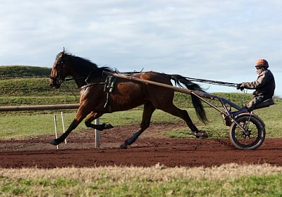 Av 17feb21DSC08076 Fernando