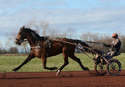 Av 17feb21DSC08092 Fernando