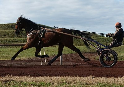 Av 17feb21DSC08096 Fernando