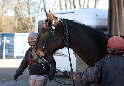 Av 17feb21DSC08210 Ina