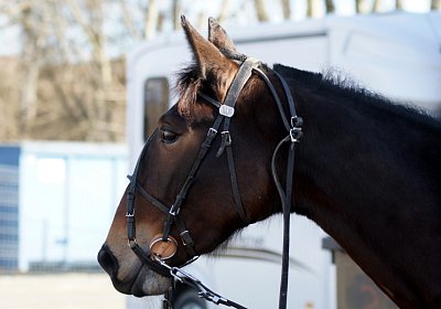 Av 17feb21DSC08212 Ina