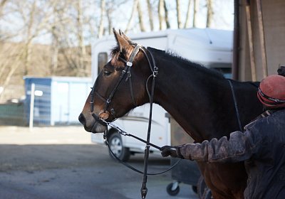 Av 17feb21DSC08213 Ina