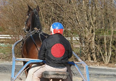 Av 17feb21DSC08222 Ina