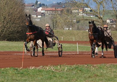 Av 17feb21DSC08239 Ina Noon