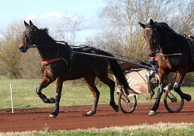 Av 17feb21DSC08246 Ina Noon