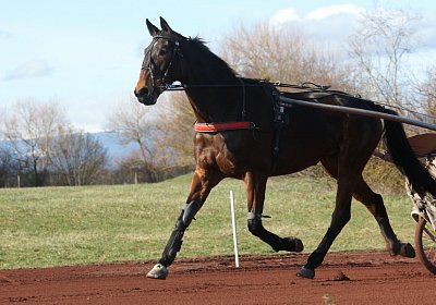 Av 17feb21DSC08247 Ina