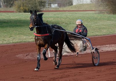 Av 17feb21DSC08278 Ina