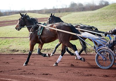 Av 17feb21DSC08286 Noon Ina