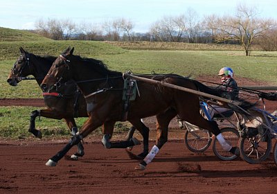 Av 17feb21DSC08313 Ina Noon