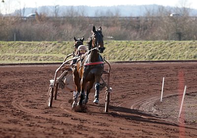 Av 17feb21DSC08321 Ina