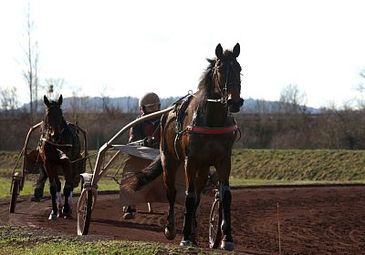 Av 17feb21DSC08329 Ina Noon