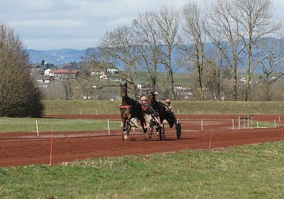 Av 17feb21DSC08341 Ina Noon