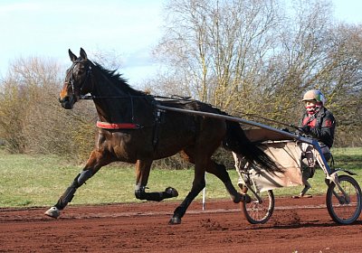 Av 17feb21DSC08348 Ina