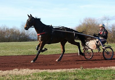 Av 17feb21DSC08350 Ina