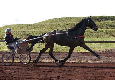 Av 17feb21DSC08375 Ina