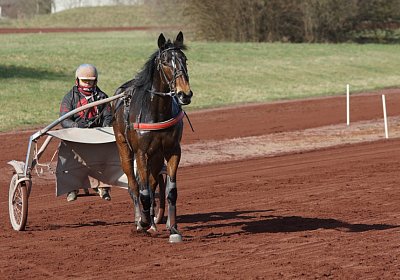 Av 17feb21DSC08385 Ina