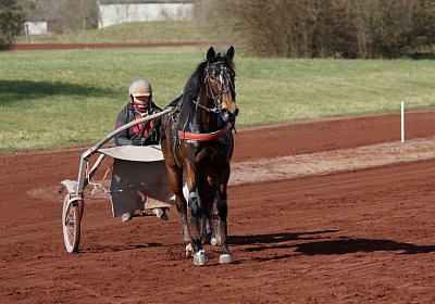 Av 17feb21DSC08386 Ina