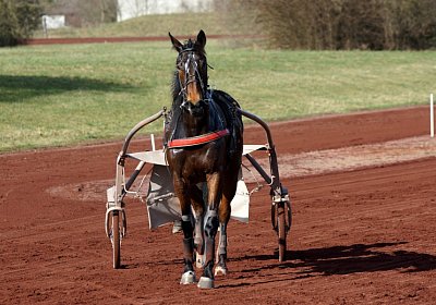 Av 17feb21DSC08388 Ina