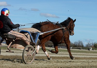 Av 17feb21DSC08448 Rebus