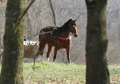 Av 17feb21DSC08457 Rebus