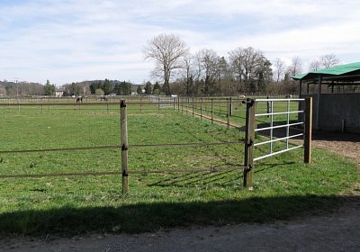 Candalex Ankunft 1 04 21 D Landihof S4860003