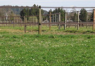 Candalex Ankunft 1 04 21 D Landihof S4860005