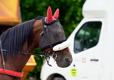 Av 13 05 21 B DSC4189 Astro