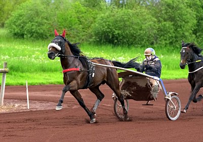 Av 13 05 21 F DSC4246 Astro