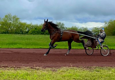 Av 19 05 21 IMG 7264 Vessillo