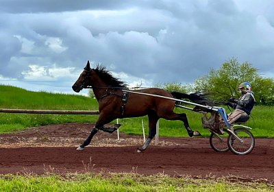 Av 19 05 21 IMG 7266 Vessillo