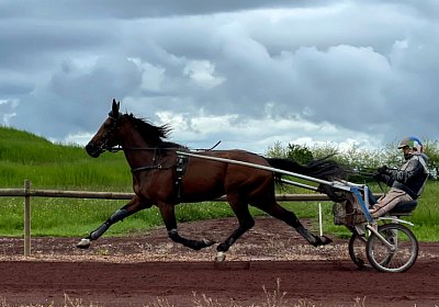 Av 19 05 21 IMG 7267 Vessillo