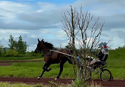 Av 19 05 21 IMG 7271 Vessillo