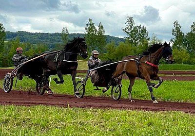 Av 19 05 21 IMG 7281 Ina Energy