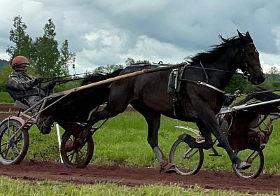 Av 19 05 21 IMG 7283 Ina Energy