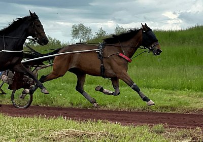 Av 19 05 21 IMG 7284 Ina Energy