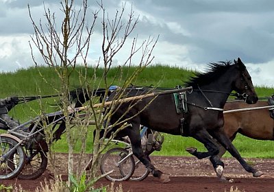 Av 19 05 21 IMG 7287 Ina Energy