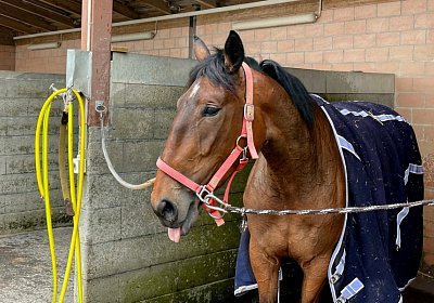 Av 19 05 21 IMG 7292 Ina