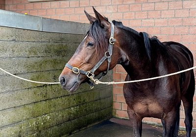 Av 19 05 21 IMG 7293 Ina