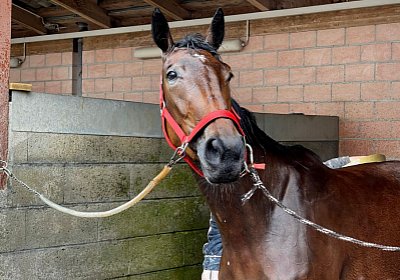 Av 19 05 21 IMG 7296 Ina