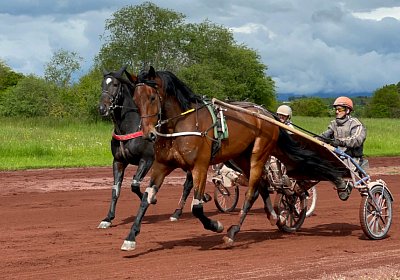 Av 19 05 21 IMG 7306 Noon