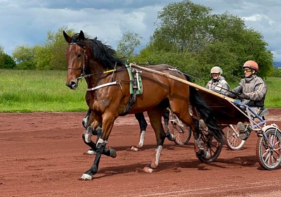 Av 19 05 21 IMG 7307 Noon