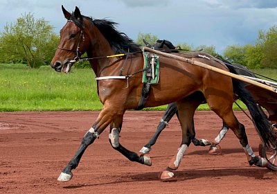 Av 19 05 21 IMG 7308 Noon