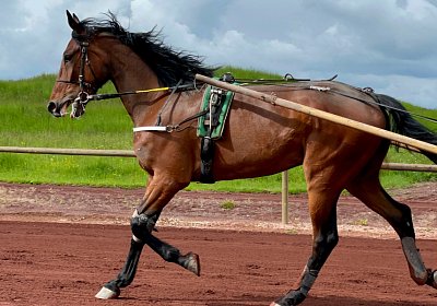 Av 19 05 21 IMG 7309 Noon