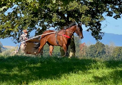 RF 14 okt21 IMG 6836